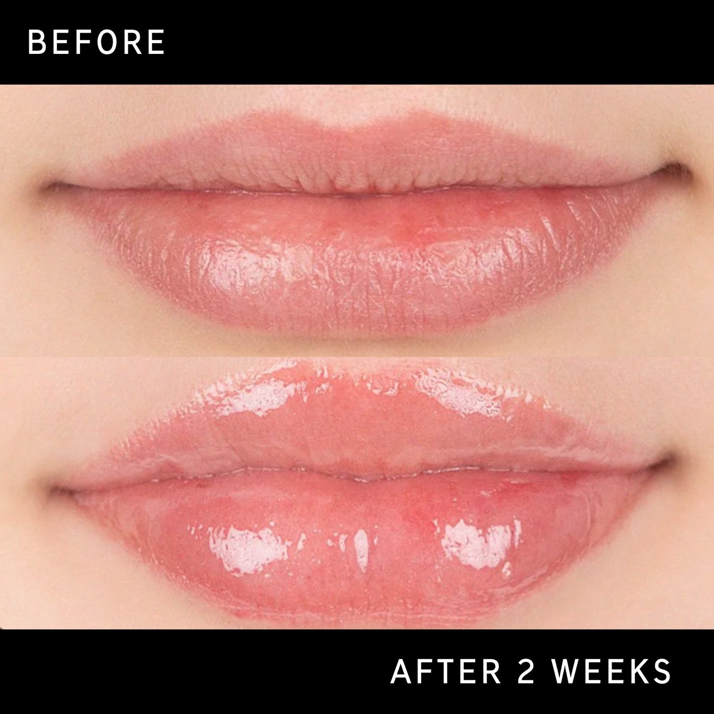 tripeptide-plumping-lip-balm-y4 DTC-Top15_Amends_Tripeptide-Lip_B_A.jpg
